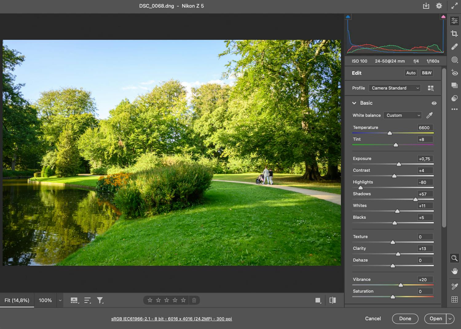 format raw Råbild i Photoshop